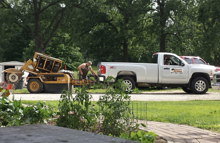 Tree Trimming and Removal Bourbonnais, IL